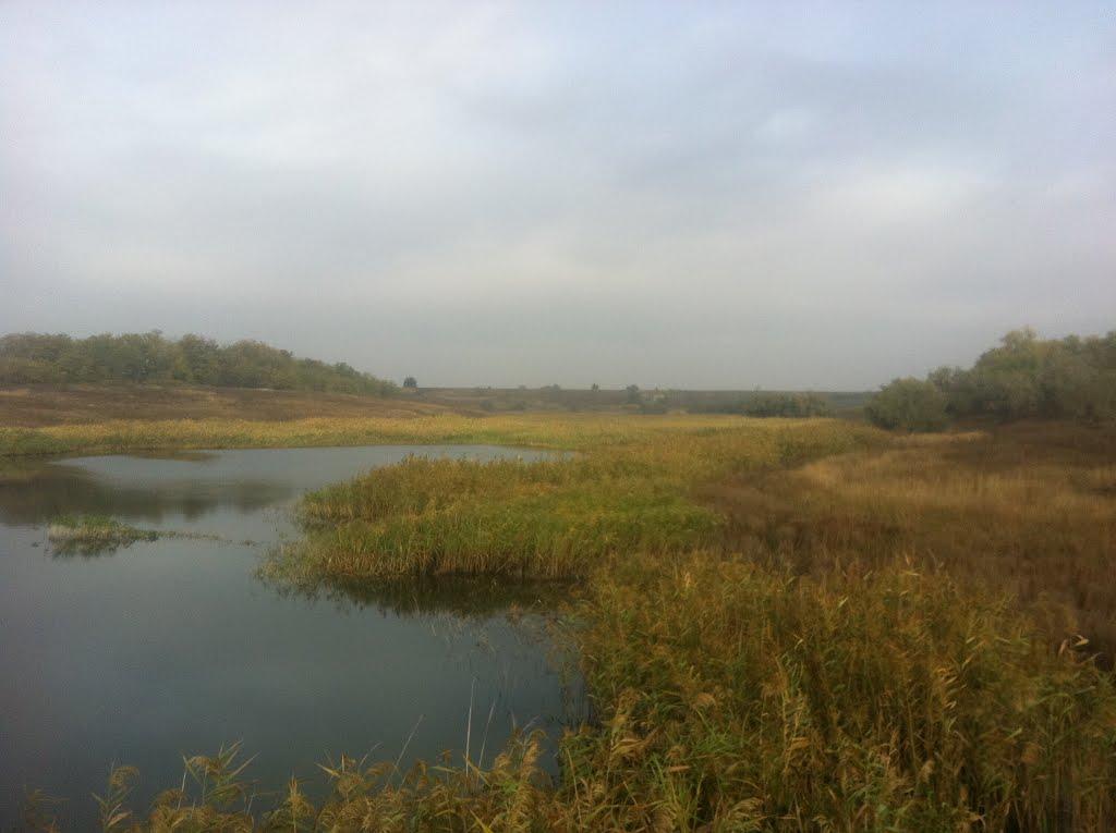 Широкине з panoramio.com - Широкине