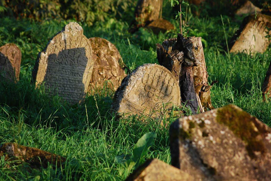 Лопушанка з panoramio.com - Лопушанка