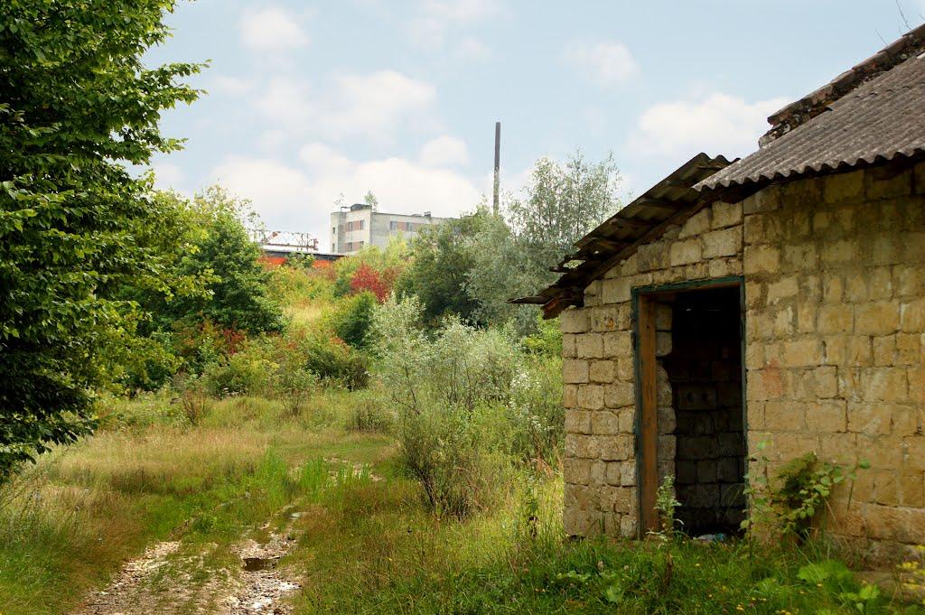 Новошини з panoramio.com - Новошини