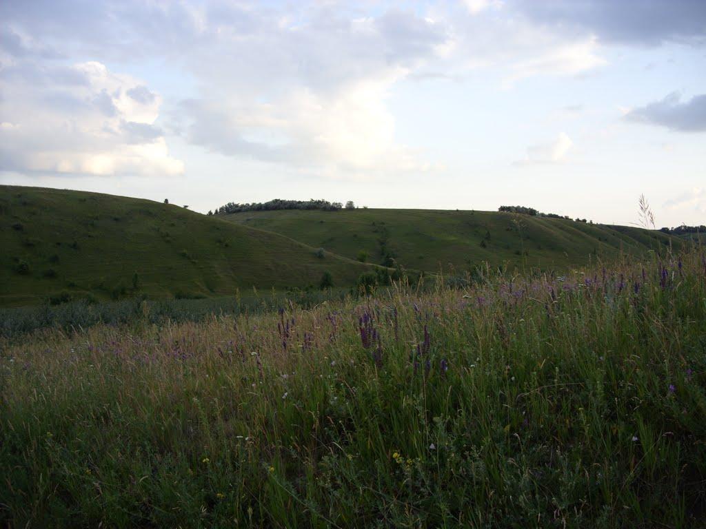 Заможнє з panoramio.com