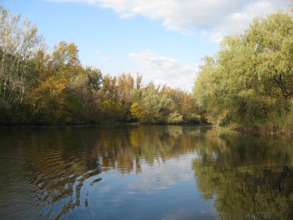 Канівське з panoramio.com - Каневское