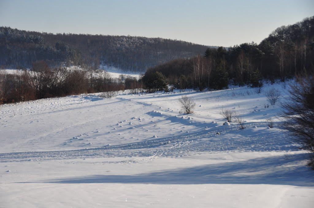 Глібовичі з panoramio.com - Glibovychi