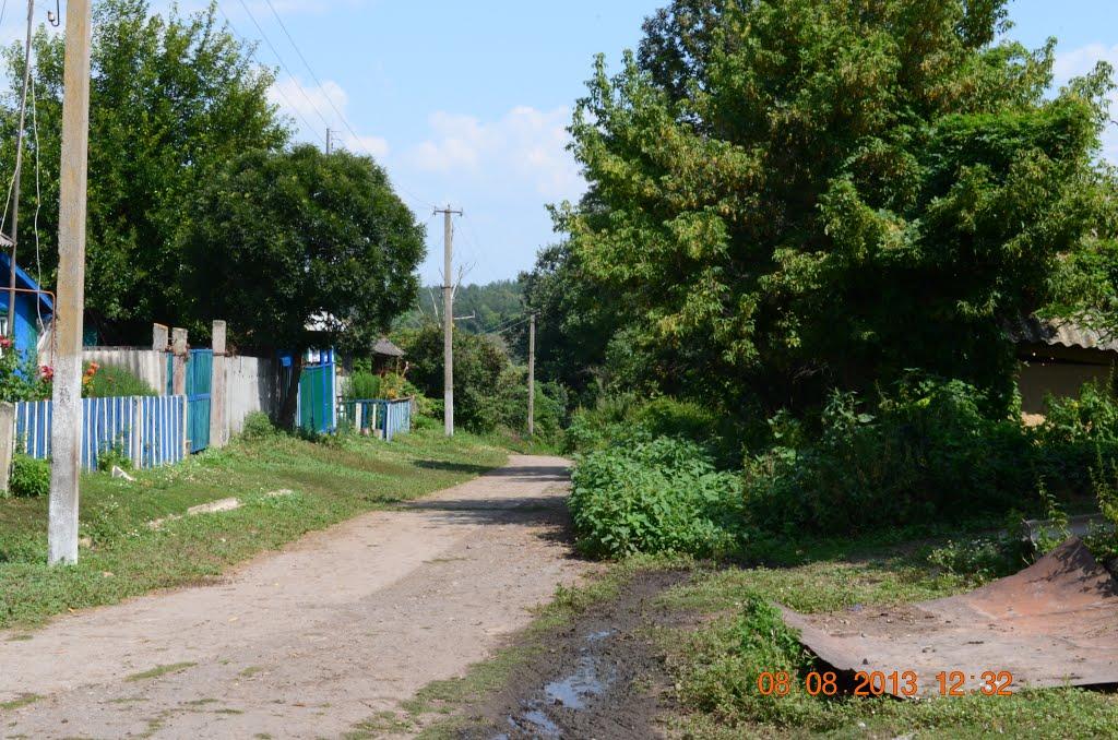 Нова Слобода з panoramio.com - Новая Слобода