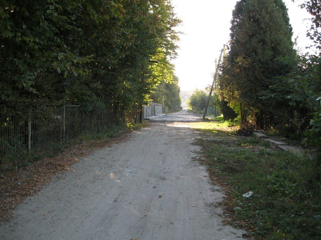 Лапаївка з panoramio.com - Лапаївка