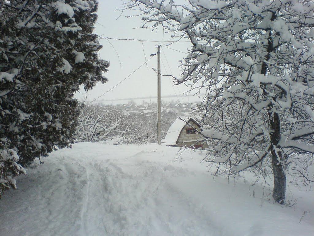 Тарутине з panoramio.com - Тарутино