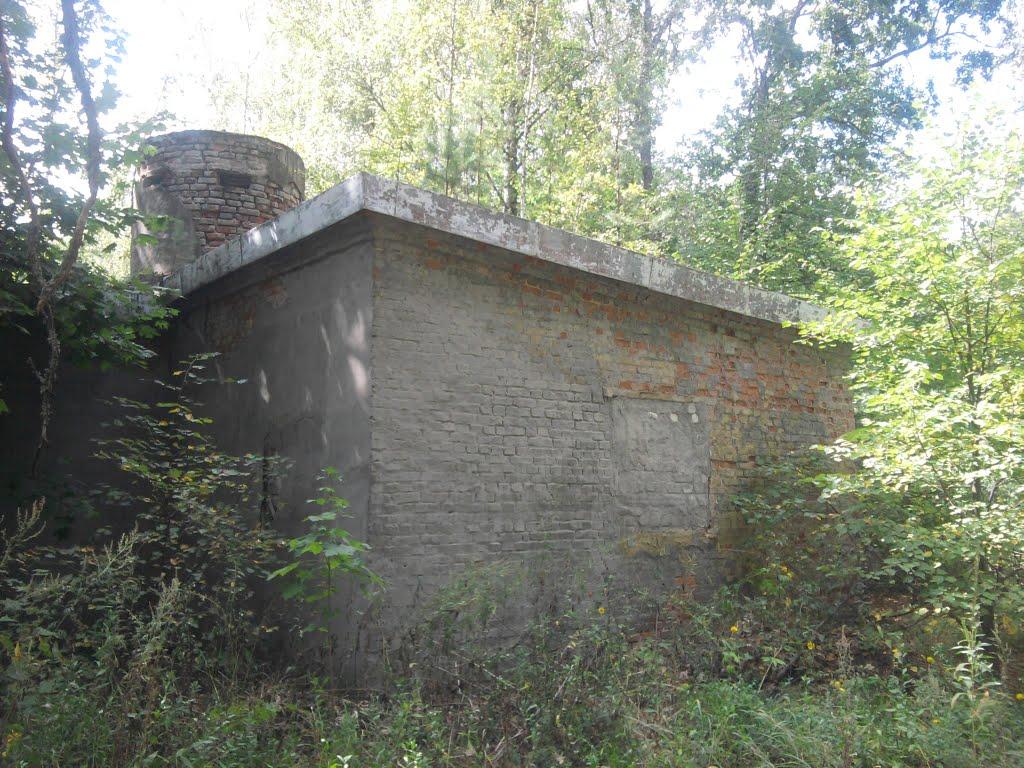 Кушкине з panoramio.com - Кушкино