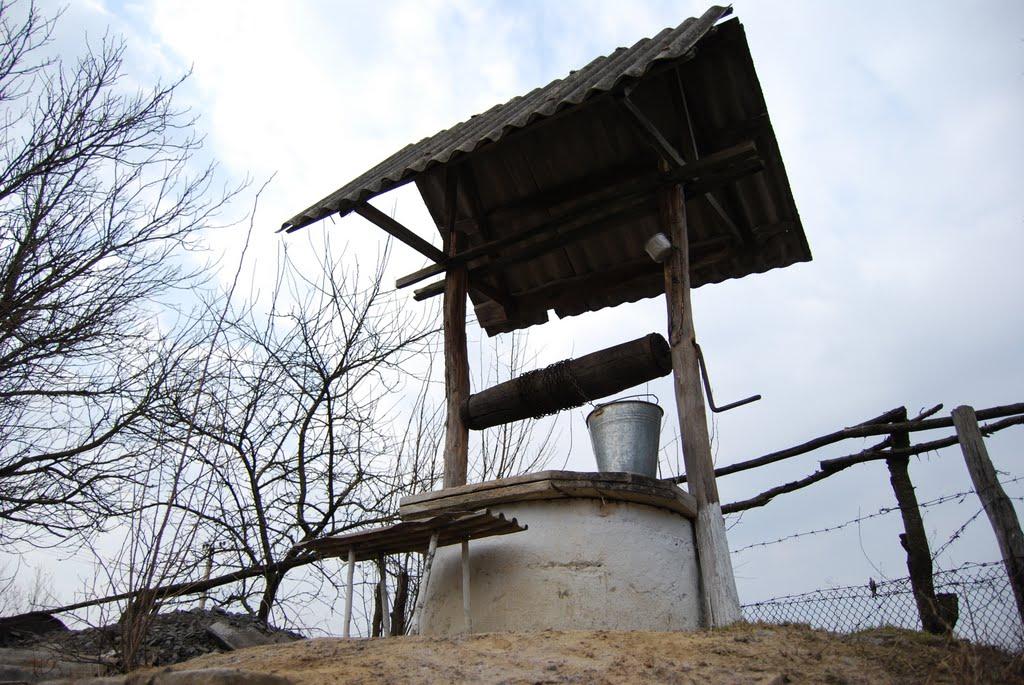 Пасицели з panoramio.com - Пасицели