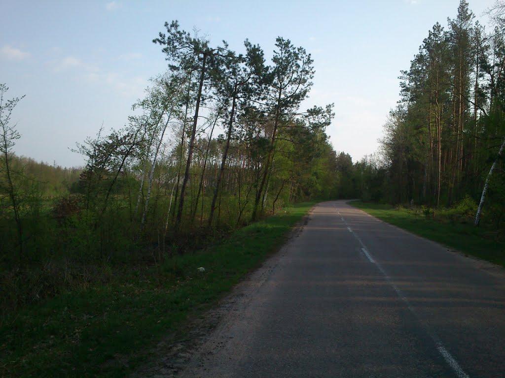 Ольшаниця з panoramio.com - Ольшаниця