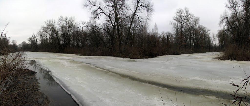 Лісники з panoramio.com - Лісники
