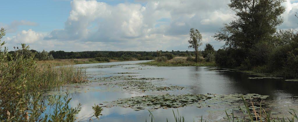Проців з panoramio.com - Процев