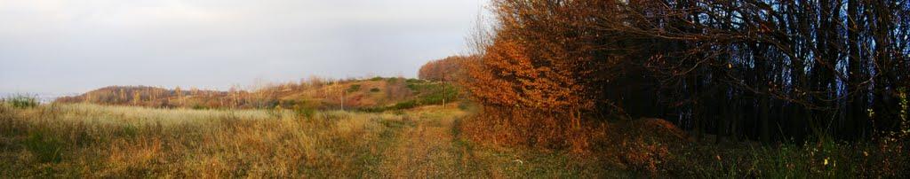 Іршава з panoramio.com - Иршава