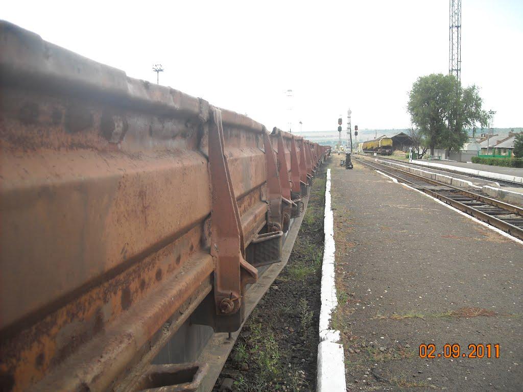 Серпневе з panoramio.com - Серпневое