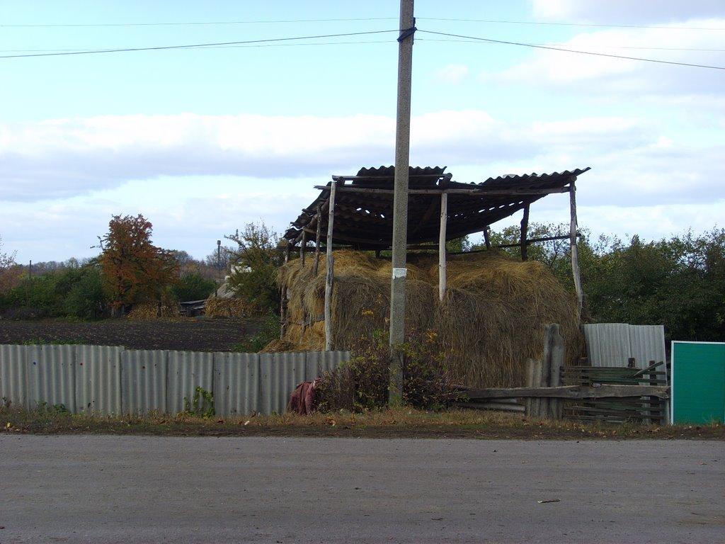 Картамиш з panoramio.com - Картамиш