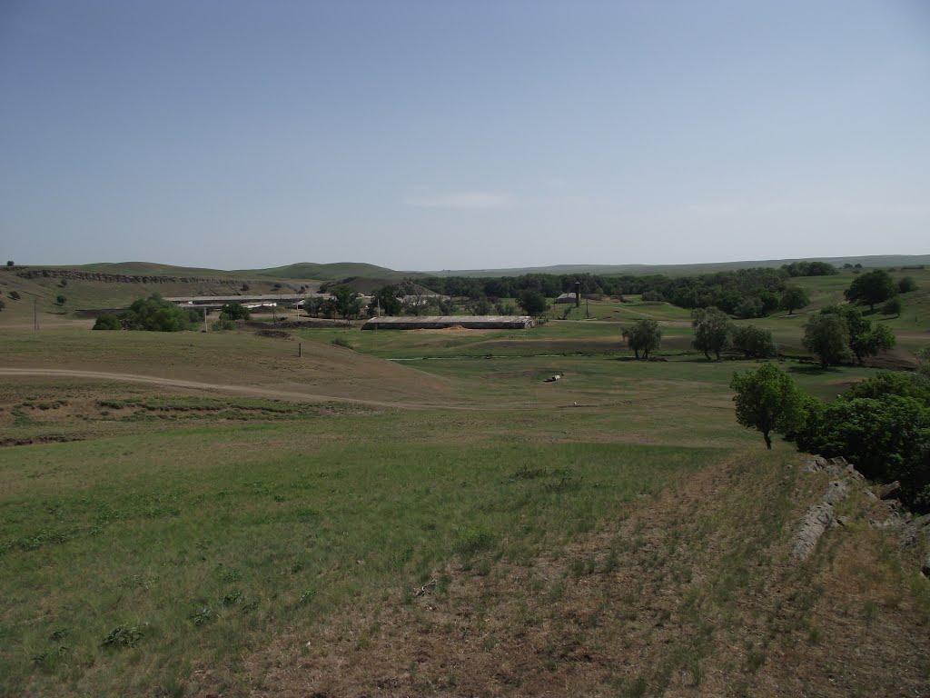 Черемшине з panoramio.com - Черемшино