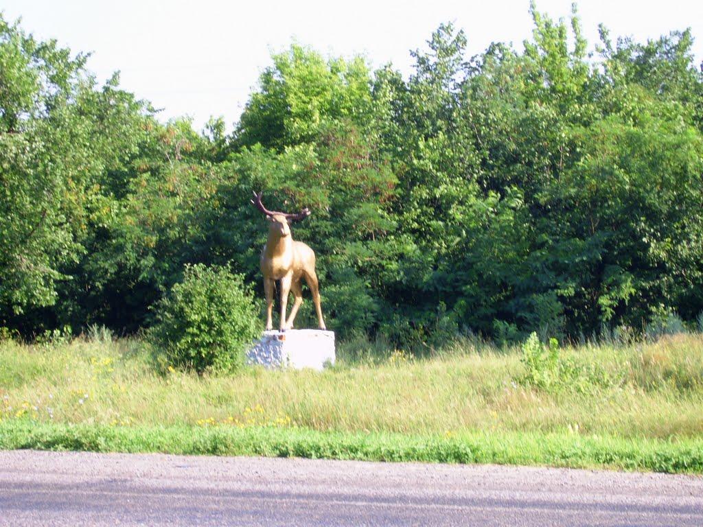 Білоцерківка з panoramio.com