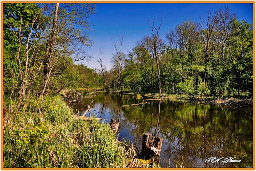 Серебрянка з panoramio.com - Серебрянка