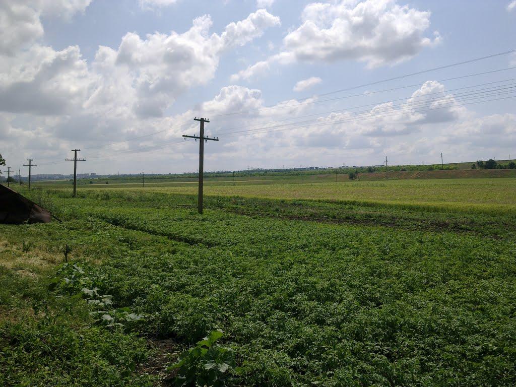 Широка Балка з panoramio.com - Широка Балка