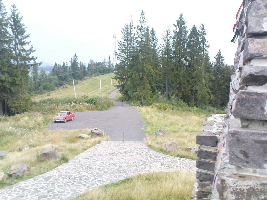 Верб'яж з panoramio.com