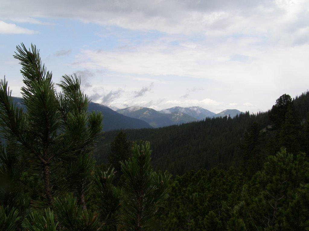 Осмолода з panoramio.com (ч.2) - Осмолода