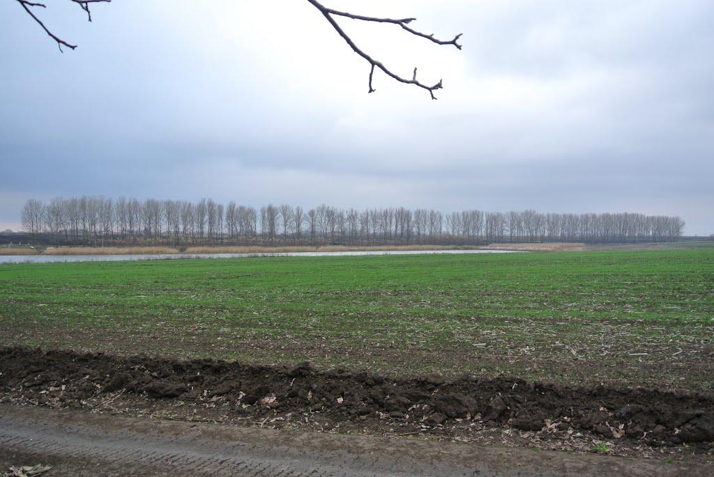Чистоводне з panoramio.com - Чистоводное