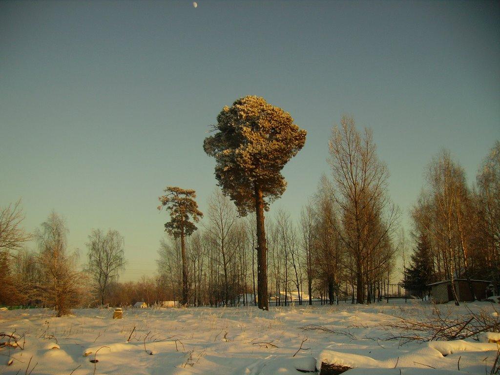 Суслівка з panoramio.com - Сусловка