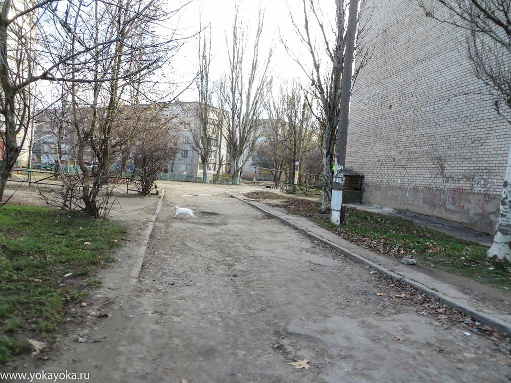Токмак з panoramio.com - Токмак