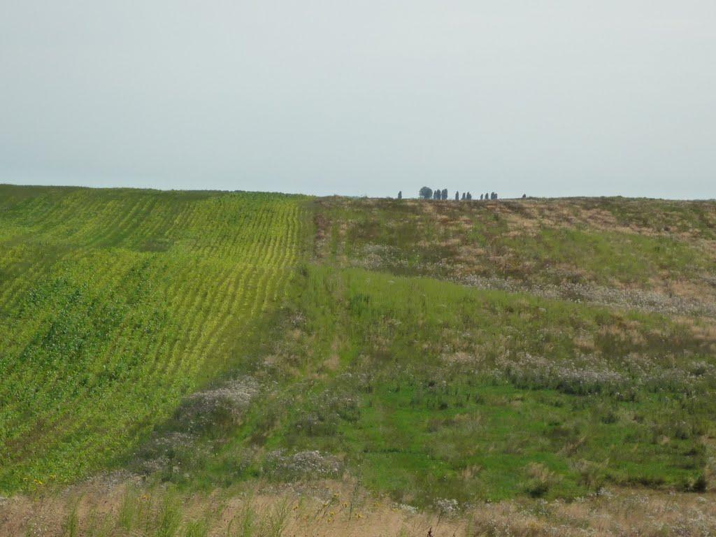 Коршів з panoramio.com - Коршів