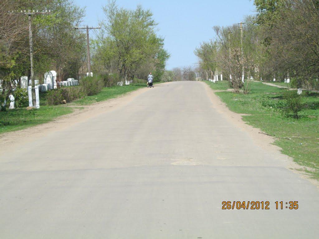 Ряснопіль з panoramio.com - Ряснополь