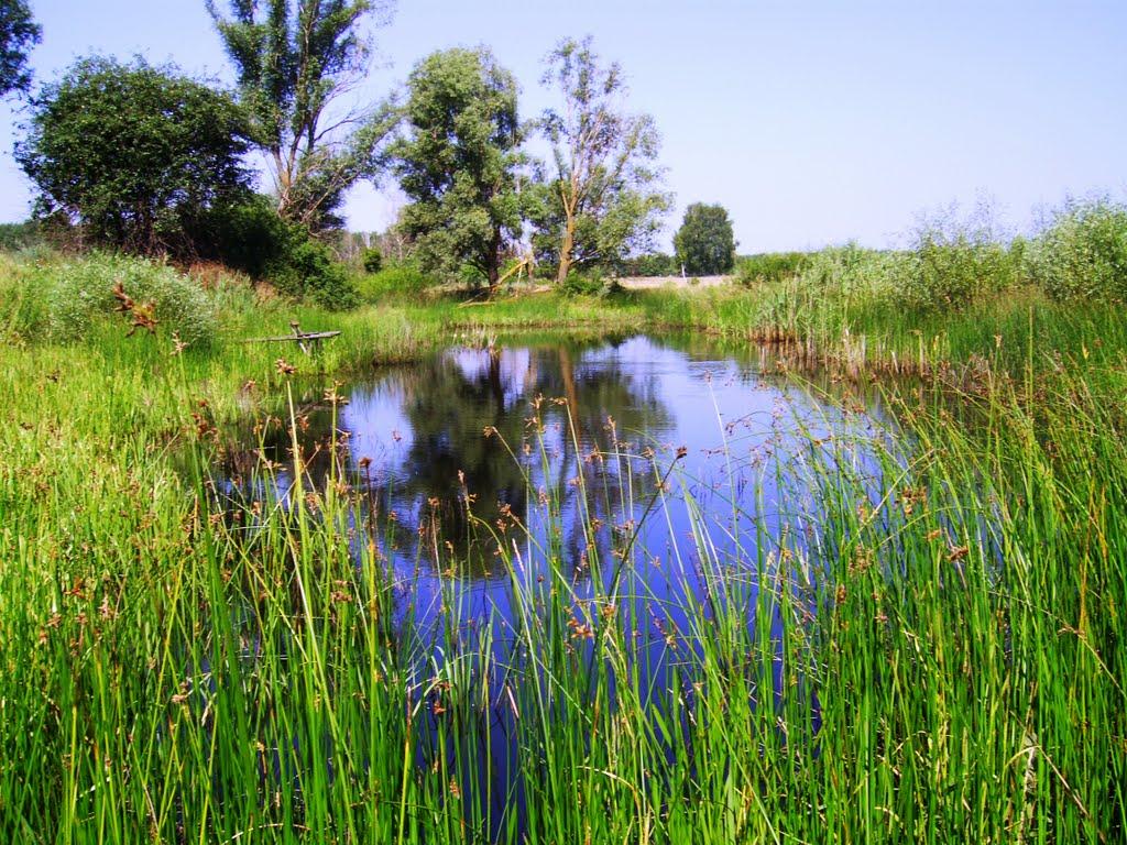 Баланди з panoramio.com - Баланды