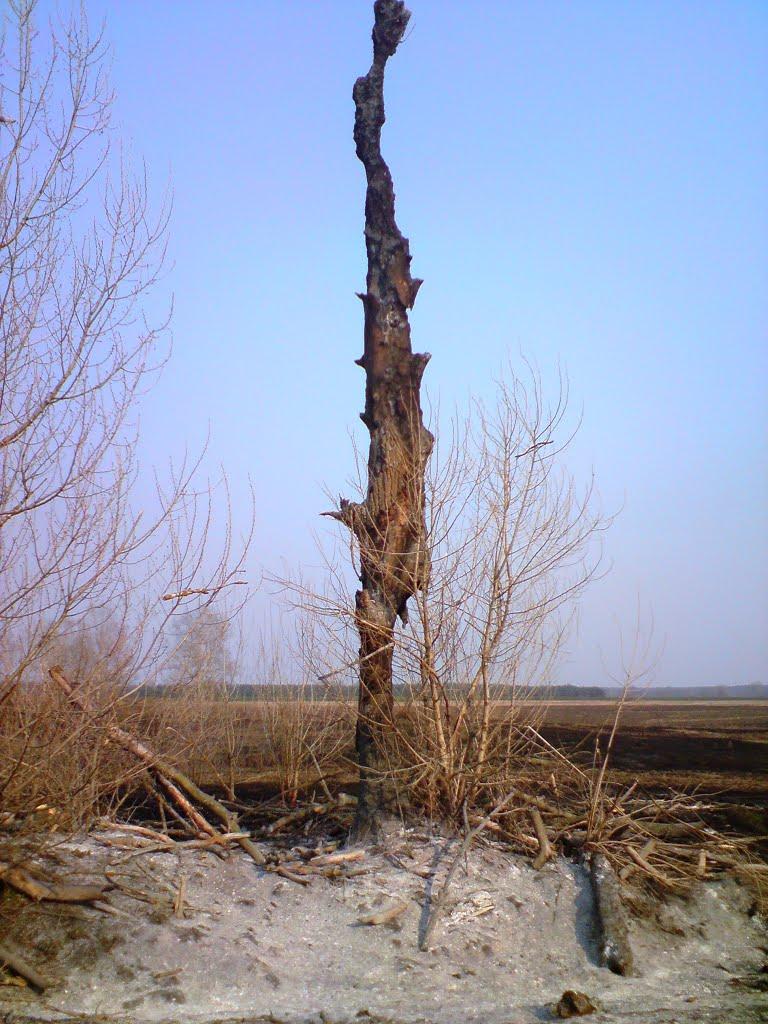 Васьки з panoramio.com - Васьки