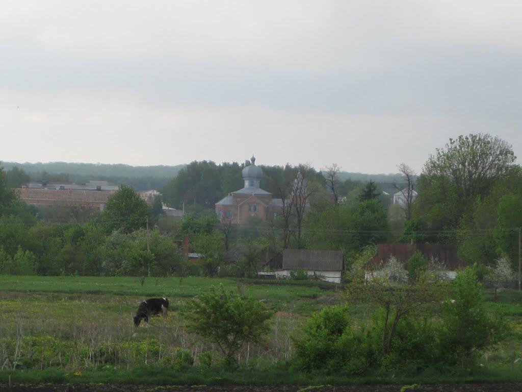 Черепашинці з panoramio.com - Черепашинці