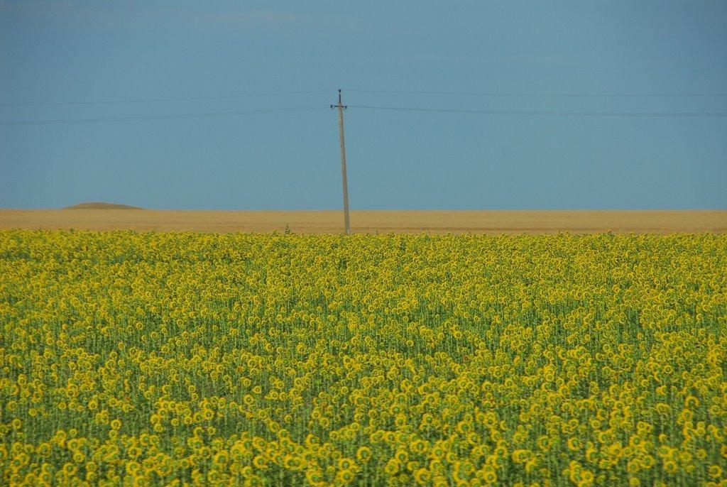 Чонгар з panoramio.com - Чонгар