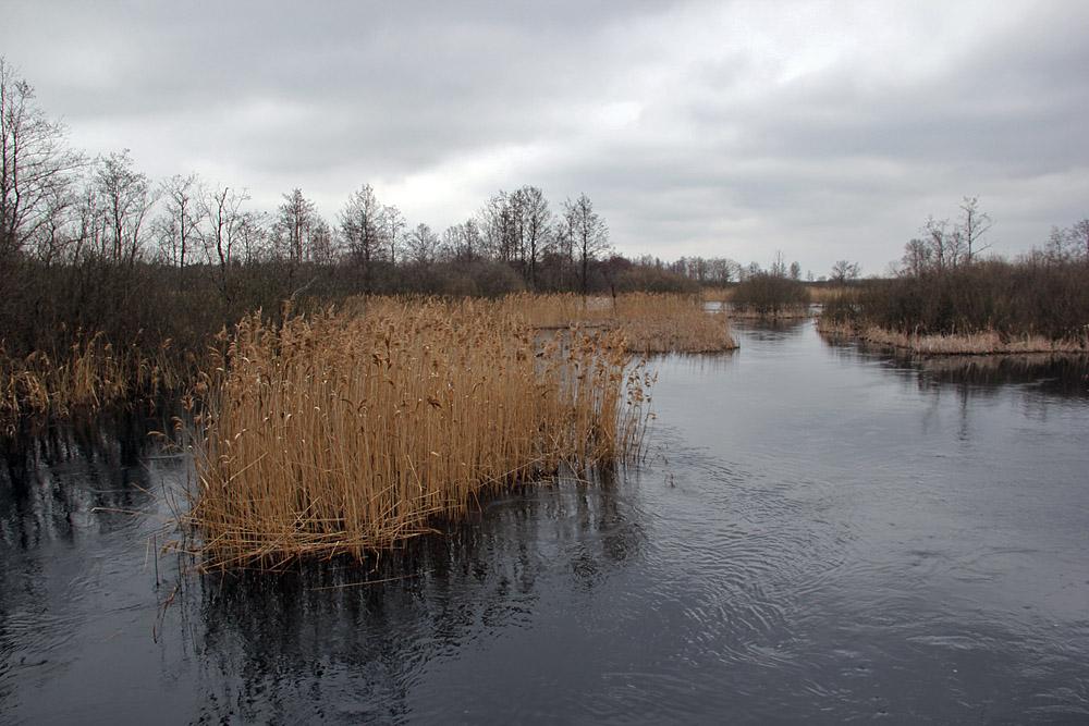 Виликий Обзир з panoramio.com - Vylykyy Obzyr