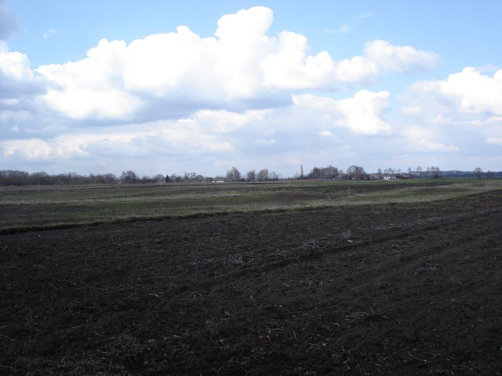 Веселе з panoramio.com - Веселое