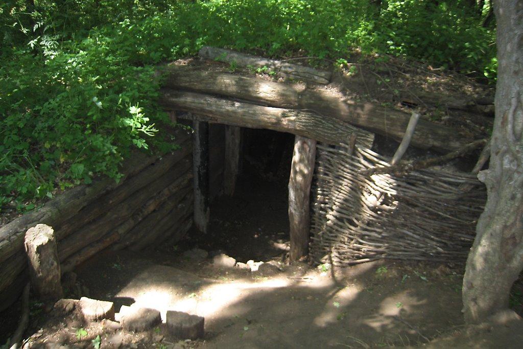 Маломиколаївка з panoramio.com - Маломиколаївка