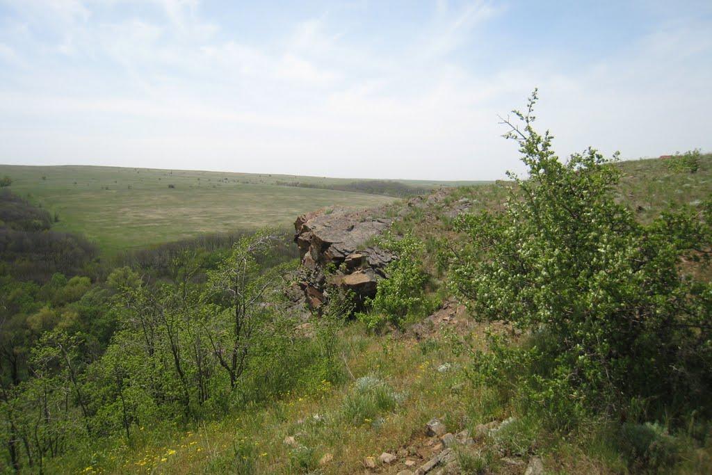 Кам'янка з panoramio.com - Каменка