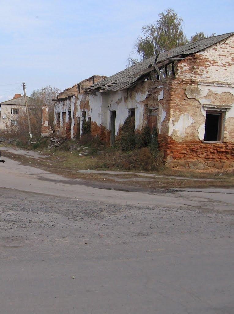 Ворошилівка з panoramio.com - Ворошиловка