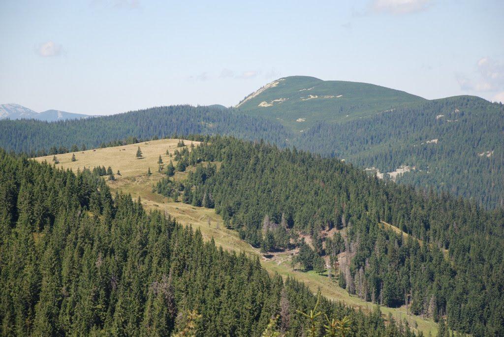 Згари з panoramio.com - Zgary