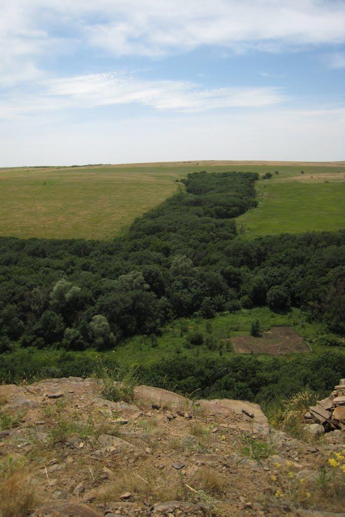 Кам'янка з panoramio.com - Каменка