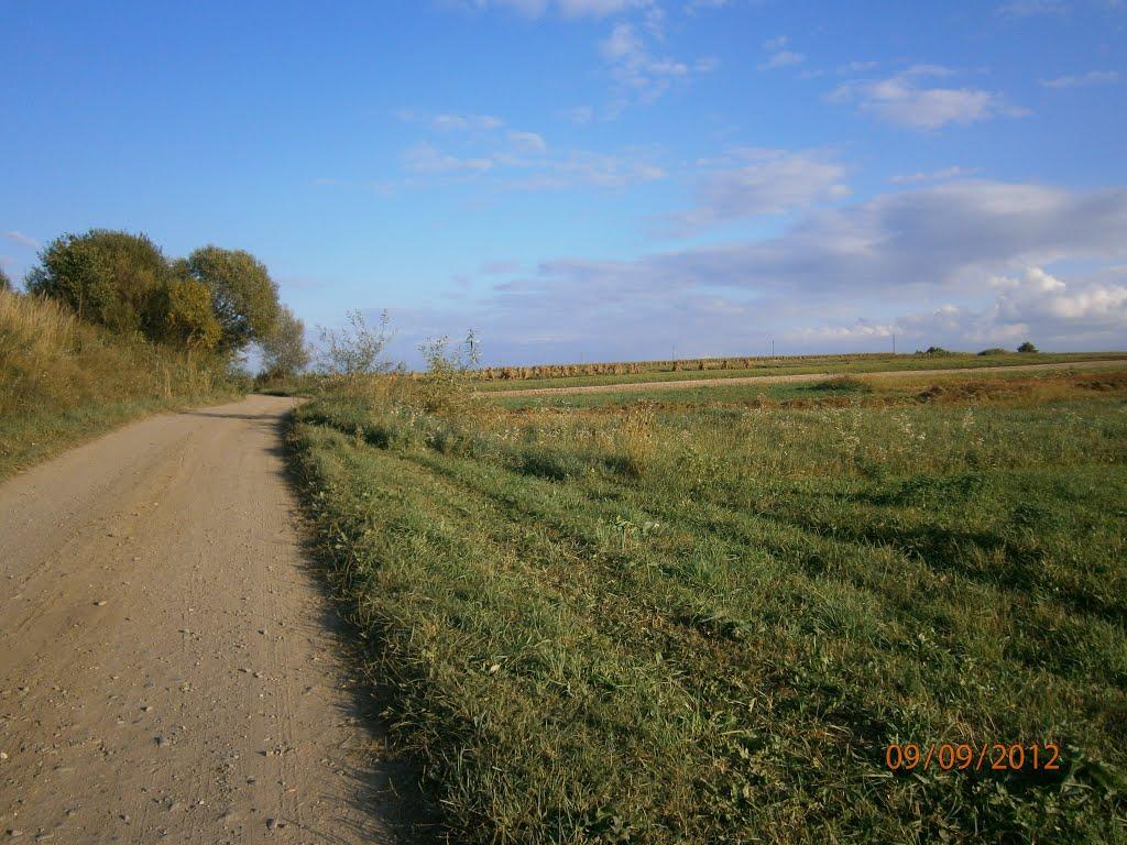 Берездівці з panoramio.com - Берездівці