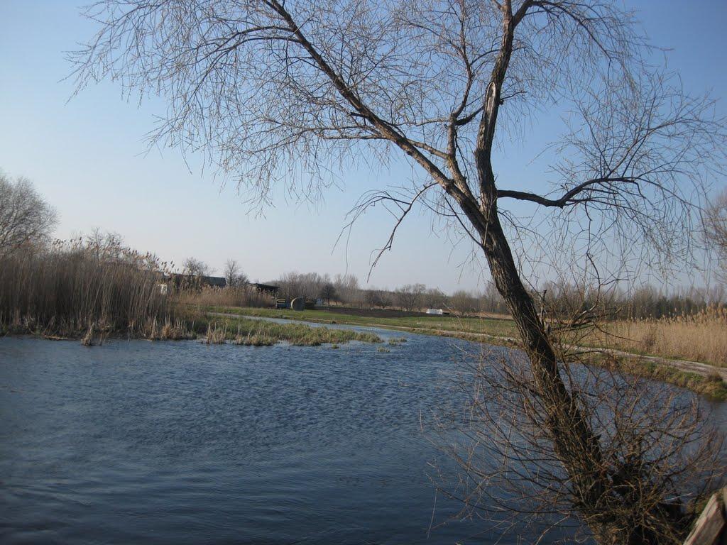 Михнівка з panoramio.com - Михновка