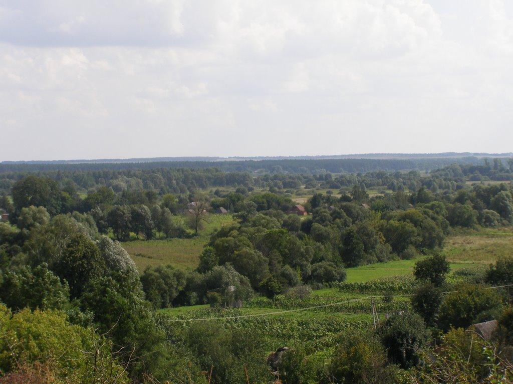 Пшінчине з panoramio.com - Пшінчине