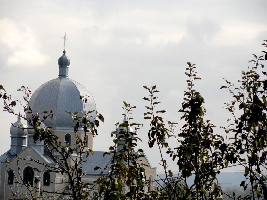 Грушка з panoramio.com - Грушка