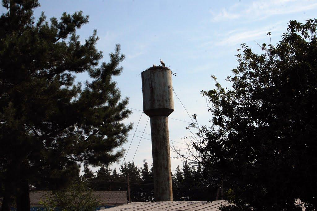 Кряківка з panoramio.com - Кряковка