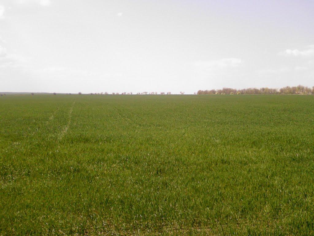 Князе-Григорівка з panoramio.com - Князе-Григорівка