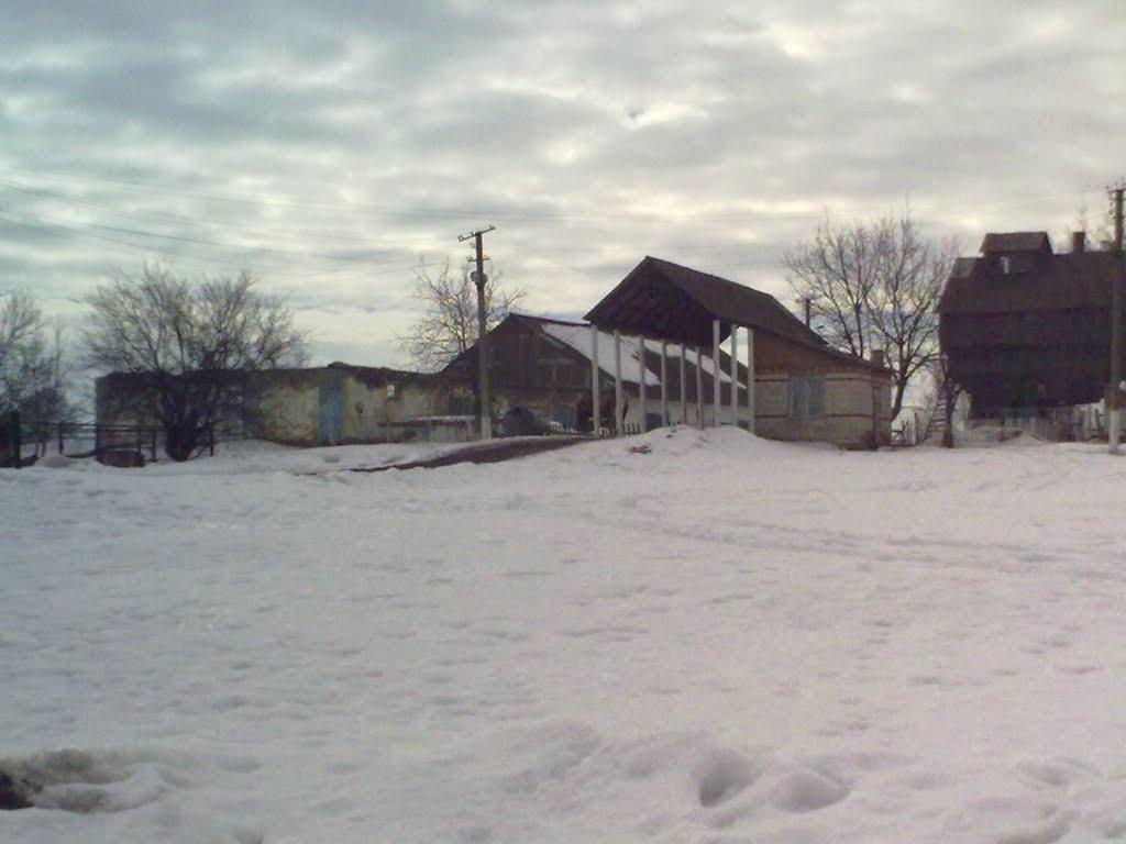 Черемошне з panoramio.com - Черемошне