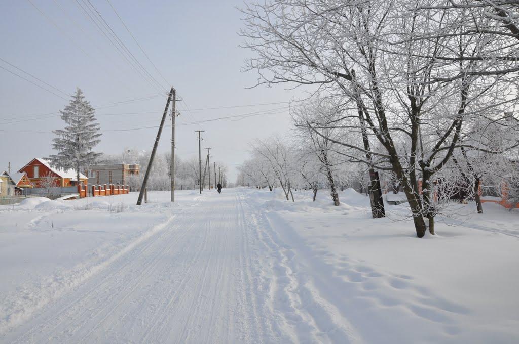 Широка Дача з panoramio.com - Широкая Дача