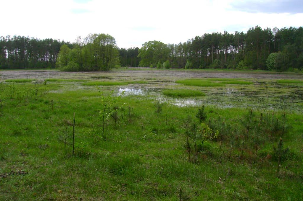 Слоут з panoramio.com - Слоут