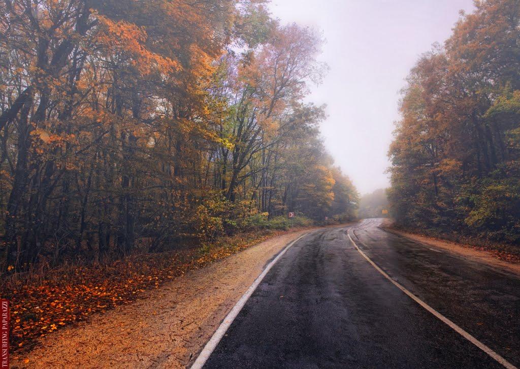 Лісне з panoramio.com - Лісне