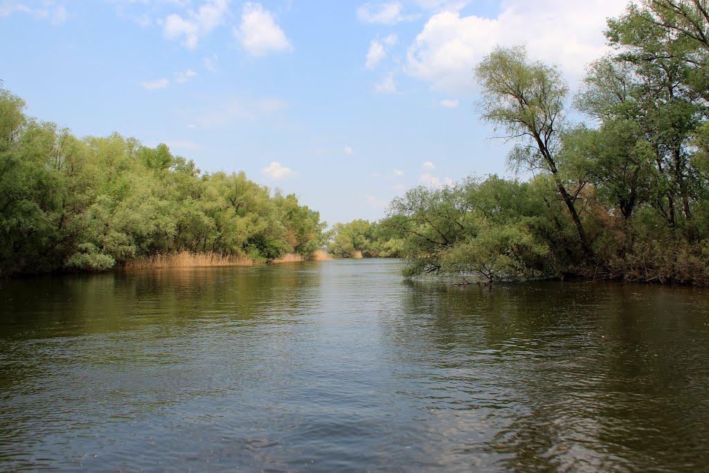 Канівське з panoramio.com - Каневское